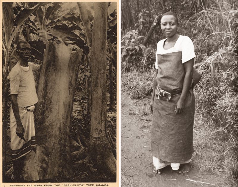 Stripping the bark from the barkcloth tree, Uganda, c. 1910 (left); a Baganda woman wearing barkcloth, c. 1940s (right)