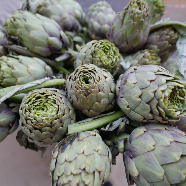 Fresh artichoke.
