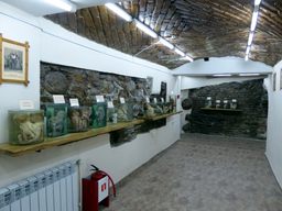 The museum contains two halls, with different types of exhibits. 