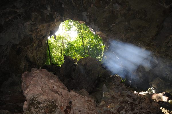 The cave is full of guano. 